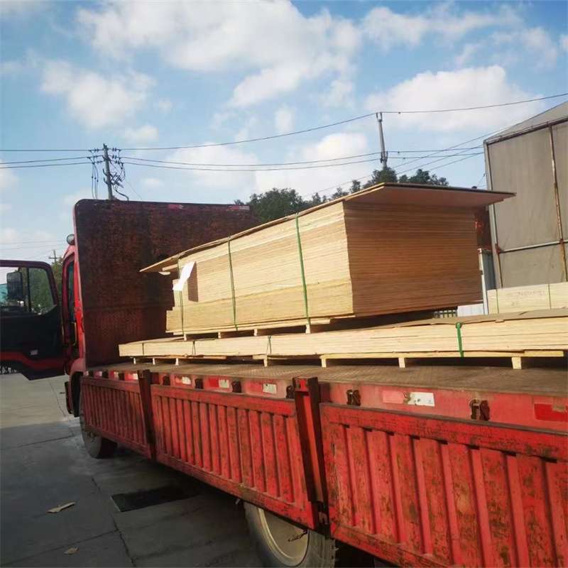 河南新乡封丘县至塔城货运专线，一站式物流服务助您成功